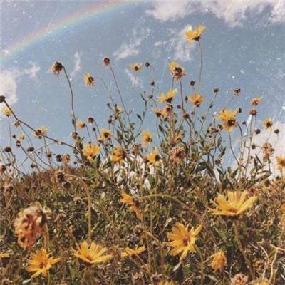 江南足球app下载